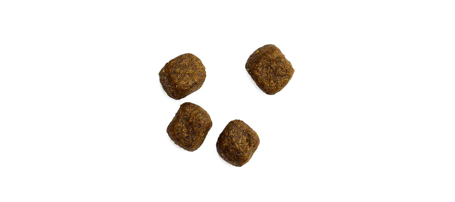 Buy Canagan Dental Grain Free Free Run Turkey Grain Free Dry Dog