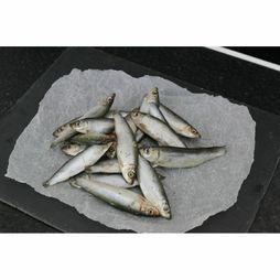 Nutriment Dog Adult Whole Sprats 1kg