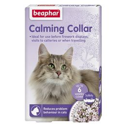 Cat Anxiety/Calming Treatments