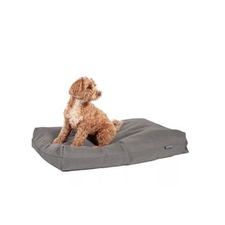Danish Design Antibacterial Dog Bed in Grey