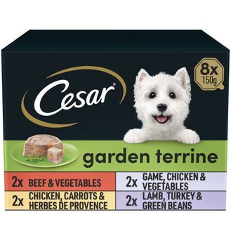 Cesar Garden Terrine Mixed Selection In Loaf Dog Food