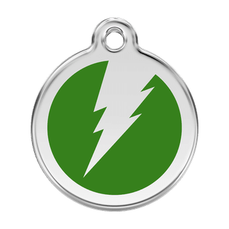 Red Dingo Stainless Steel Engraved Dog Tag Flash Green
