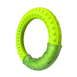 Aqua Dog Fling Ring Green
