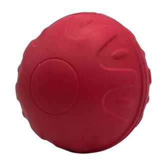 Aqua Dog Float Ball Red