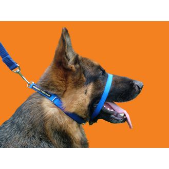 Canny Collar Dog Training Collar Blue