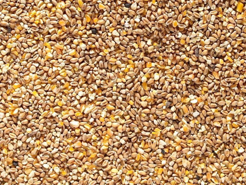 Buy Johnston & Jeff Mixed Poultry Corn from £4.49