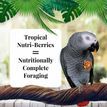 Lafeber's NutriBerries Tropical Fruit Parrot Food additional 3
