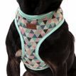 Great&amp;Small Penrose Geometric Triangle Mesh Harness additional 2