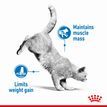 ROYAL CANIN® Light Weight Care Adult Dry Cat Food additional 4