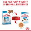 ROYAL CANIN® Mini Puppy in Gravy Wet Food additional 6