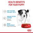 ROYAL CANIN® Mini Puppy in Gravy Wet Food additional 5