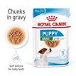 ROYAL CANIN® Mini Puppy in Gravy Wet Food additional 3