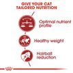 ROYAL CANIN® Regular Fit 32 Adult Dry Cat Food additional 8