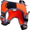 Hem &amp; Boo Sports Harness Orange additional 2