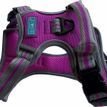 Hem &amp; Boo Sports Harness Purple additional 1