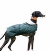 Ancol Quilted Whippet / Greyhound Coat additional 3