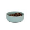 Great&amp;Small Penrose Teal Stoneware Pet Bowl additional 1