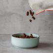 Great&amp;Small Penrose Teal Stoneware Pet Bowl additional 3