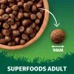 Harrington's Grain Free Superfoods Salmon Adult Dog Food additional 6