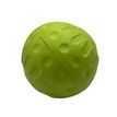 Aqua Dog Float Ball Green additional 2