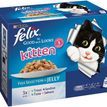Felix As Good As It Looks Kitten Fish Selection in Jelly Wet Food additional 1