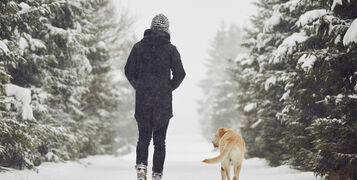winter dog