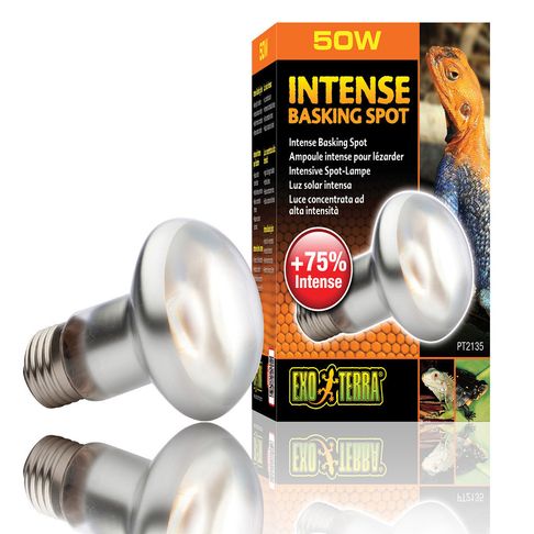 Exo Terra Intense Basking Spot Lamp