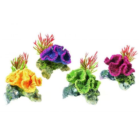 Classic Coral On Rocks Assorted