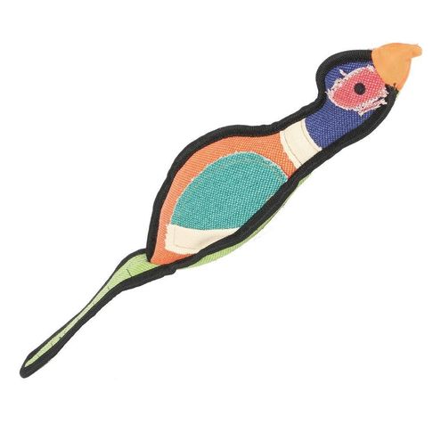 HappyPet Gaudy Pheasant