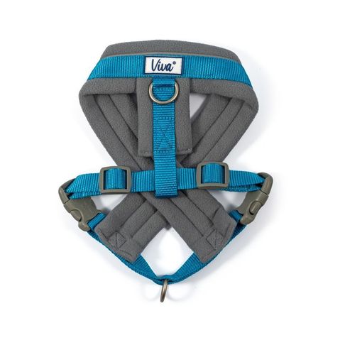 Ancol Viva Padded Dog Harness in Blue