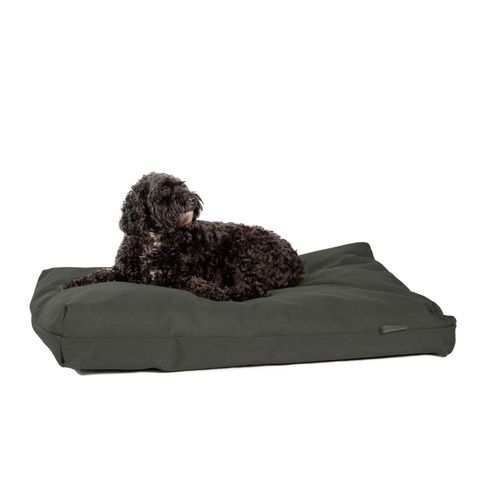 Danish Design Antibacterial Dog Bed in Green