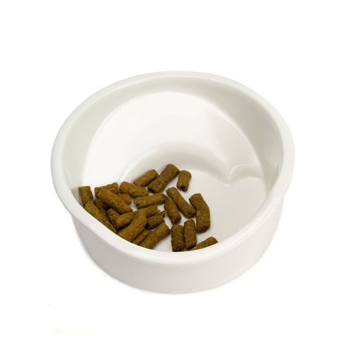 Great&amp;Small Ceramic Flat Nosed Dog Bowl 16.5cm