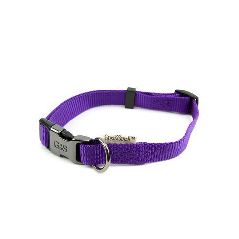 Great&amp;Small Classic Purple Plain Collar