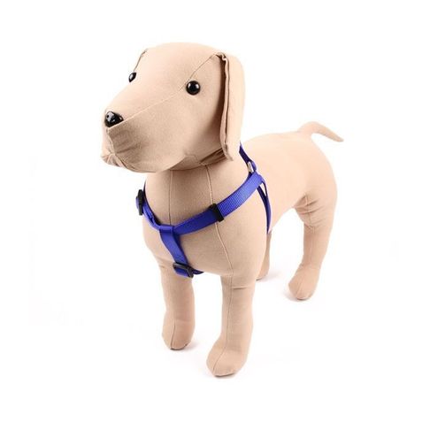 Great&amp;Small Classic Plain Harness Blue