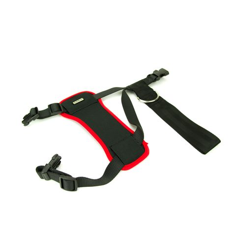Great&amp;Small Dog Car Harness