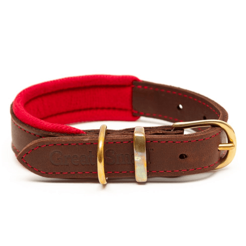Great&amp;Small Hawkhurst Leather Padded Dog Collar in Red