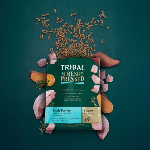 Tribal Fresh Pressed Puppy Turkey