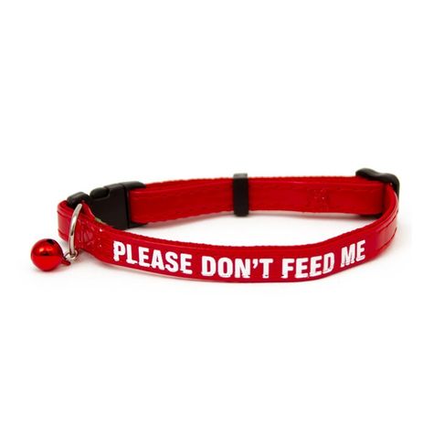 Great&amp;Small Please Don't Feed Cat Collar