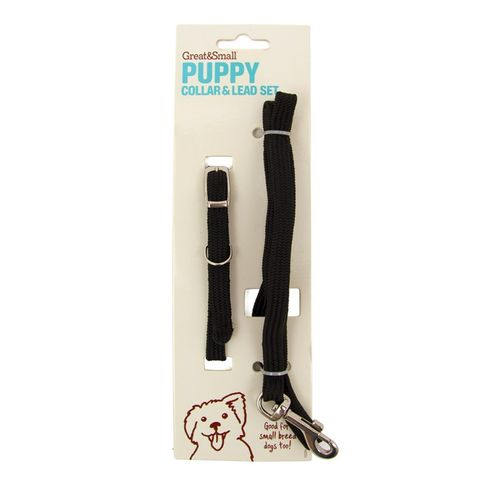 Great&amp;Small Puppy Black Collar &amp; Lead Set