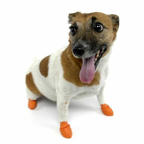 Pawz Dog Boots Orange Extra Small
