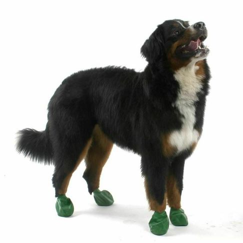 Pawz Dog Boots Green Extra Large