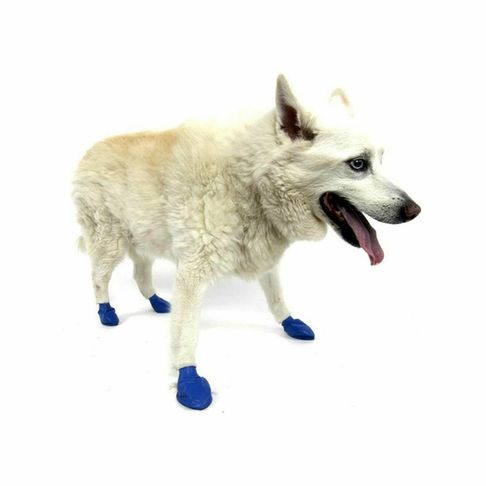 Pawz Dog Boots Blue Medium