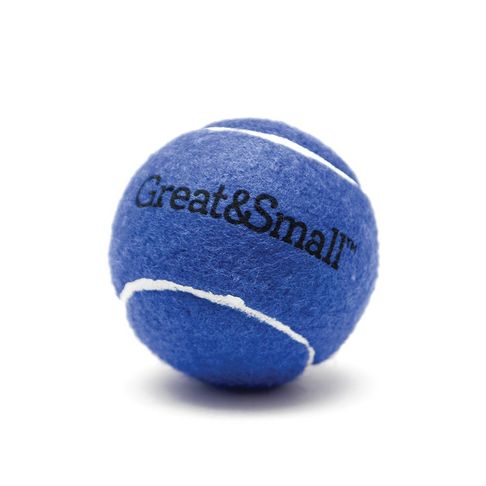 Great&amp;Small Squeaky Blue Tennis Ball