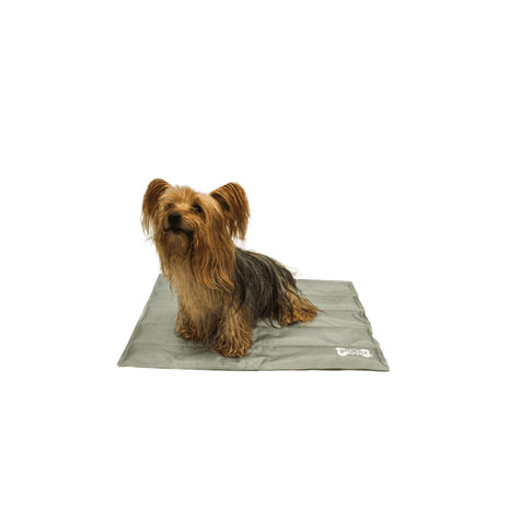 Animate Cooling Mat in Grey