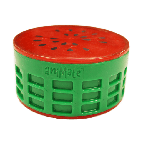 Animate Melon Fruit Cooling Dog Chew Toy