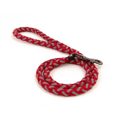 Great&amp;Small Glow Lead Plait Red