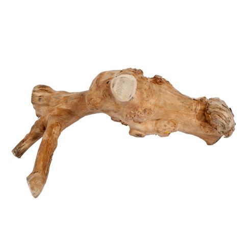 Sky Pet Products Java Reptile Branch Small