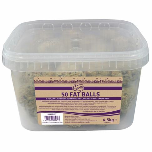 Berry Fat Balls