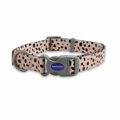 Ancol Soho Dalmatian Dog Collar