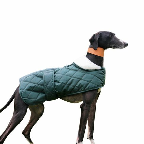 Ancol Quilted Whippet / Greyhound Coat